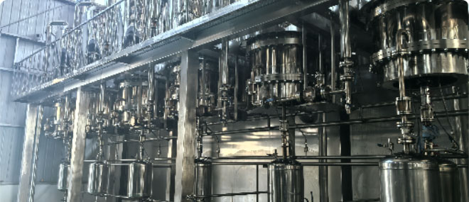 Flaxseed Oil Molecular Distillation Refining Project