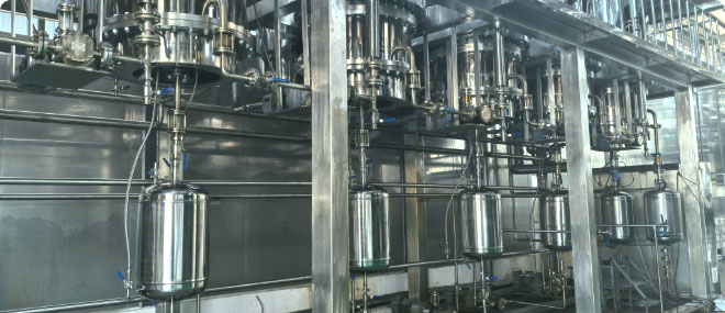 Complete DiEster Oil Production Plant Project